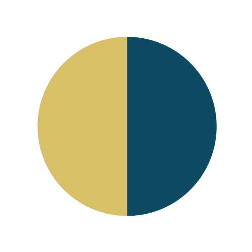 Kreisgrafik, die in zwei gleich große Hälften geteilt ist – eine goldene und eine blaue Seite.
